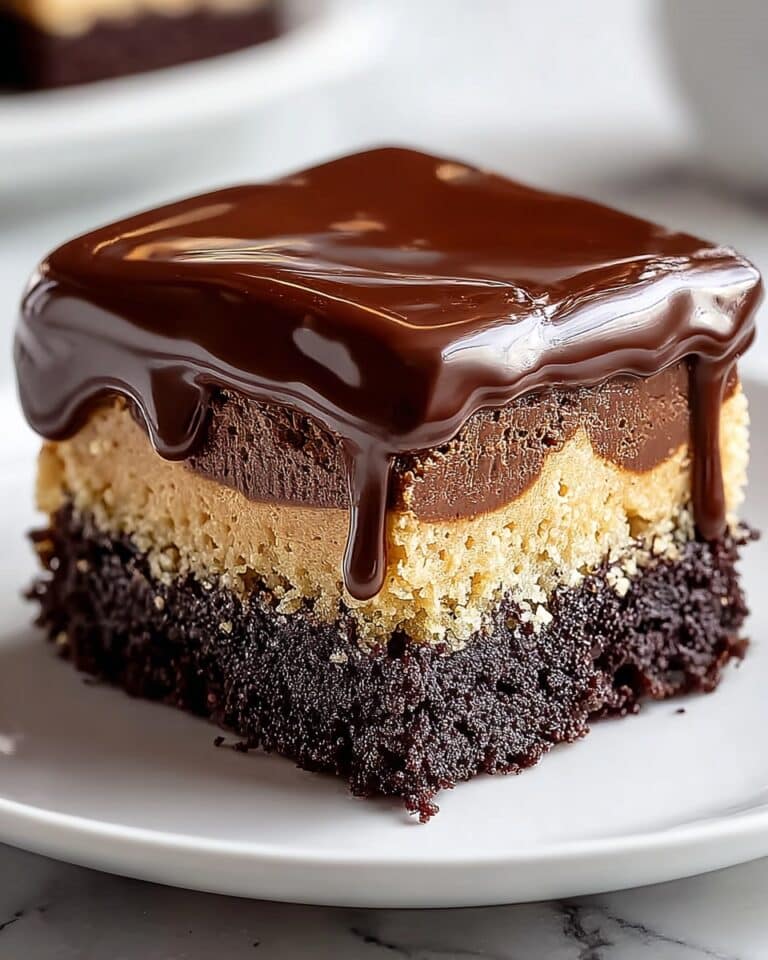 Chocolate Peanut Butter Ooey Gooey Cake Recipe
