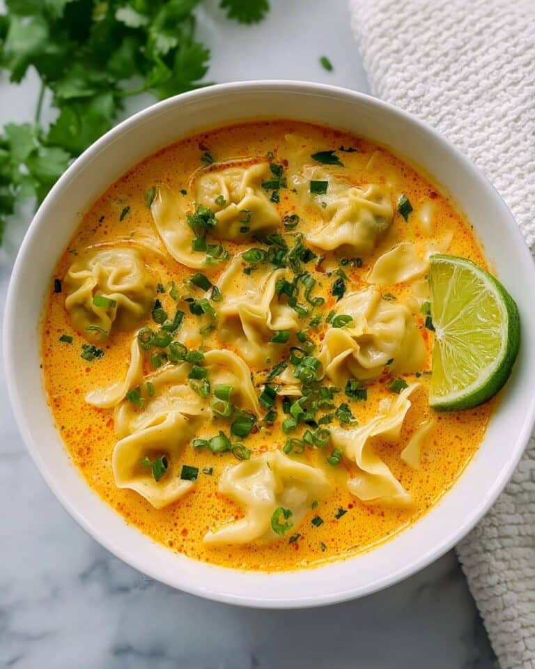 Delicious Curry Dumpling Soup Recipe